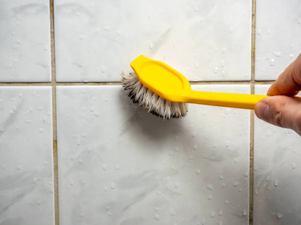 Best Mold Remediation  in Springfield, IL
