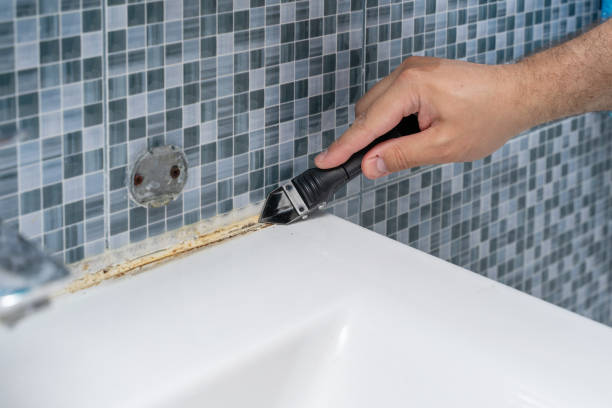 Best Office Mold Removal Services  in Springfield, IL
